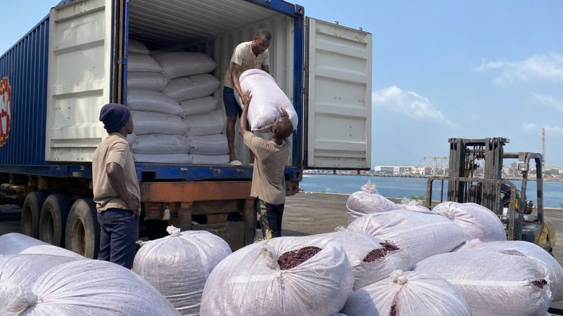 Stuffing a kraft-lined 40' high-cube at Lagos port
