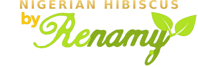 Renamy Hibiscus Nigeria logo