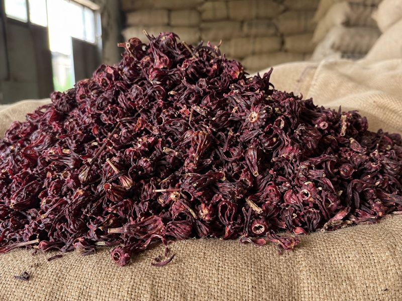 Grade B dried hibiscus calyces, mixed sizes with some broken pieces, heaped on a jute sack